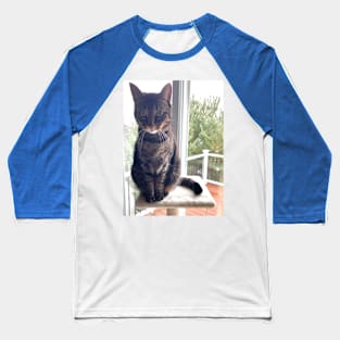 Tabby on a Tower Baseball T-Shirt